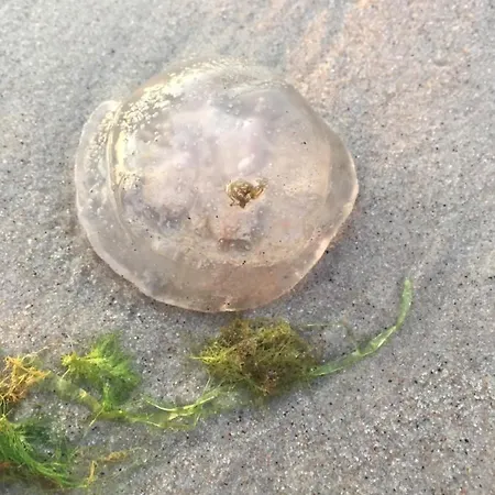 Üdülőpark Bursztynowe