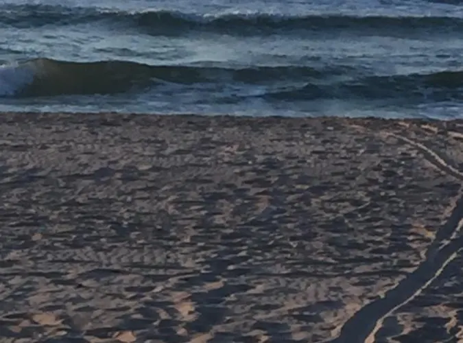 Bursztynowe Sarbinowo